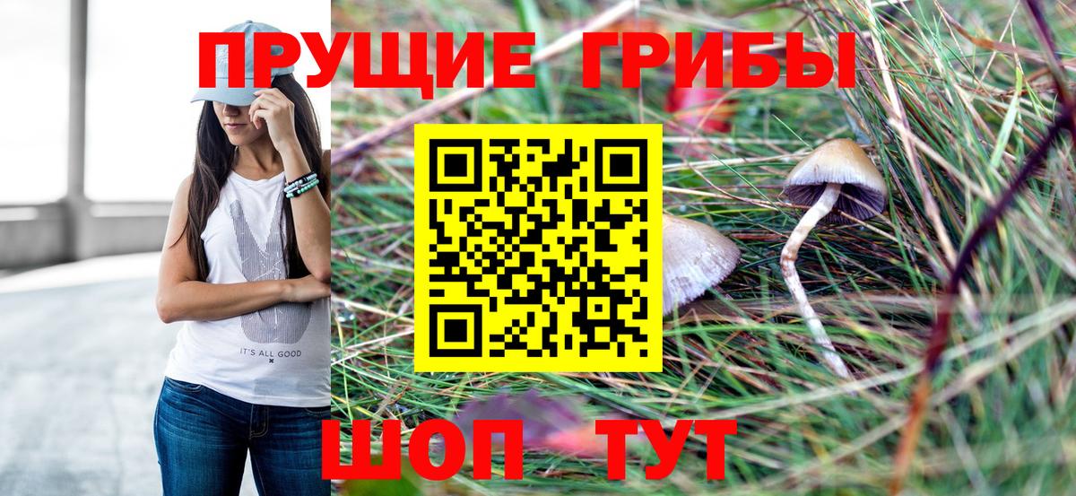 Псилоцибиновые грибы Cubensis Видное