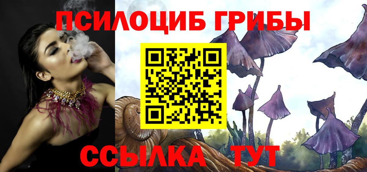 Псилоцибиновые грибы ЛСД Видное